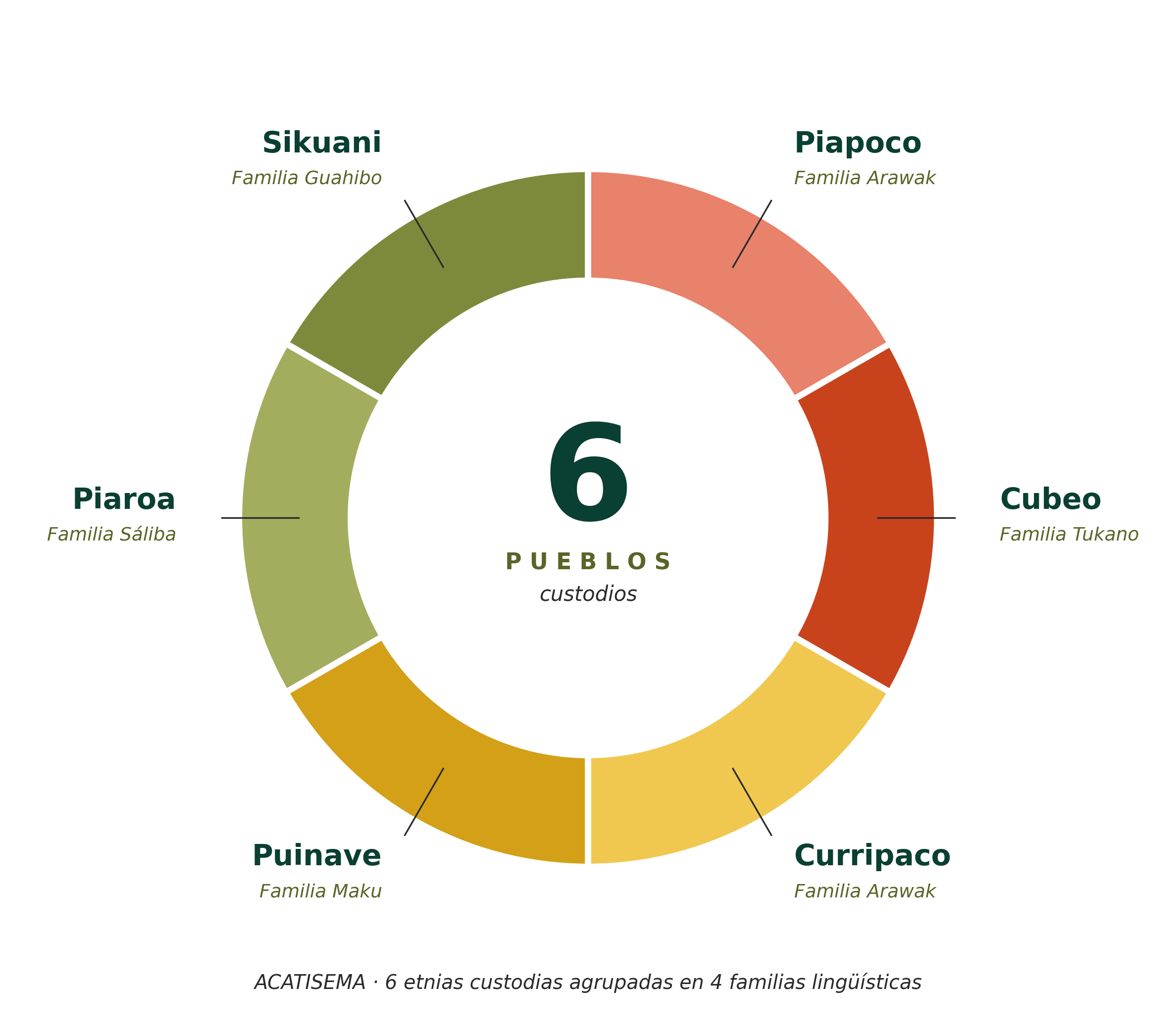 6 etnias custodias